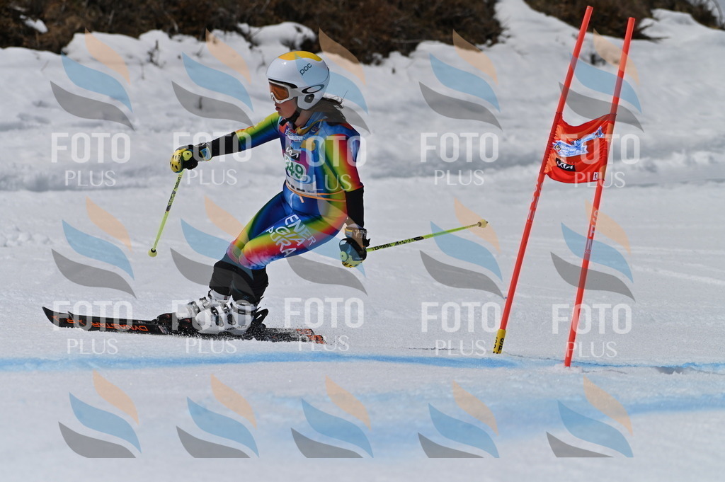 BGV_6879 | holidayphoto