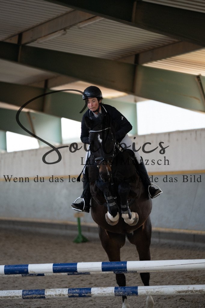 A7V06931 | Pferdefotograf