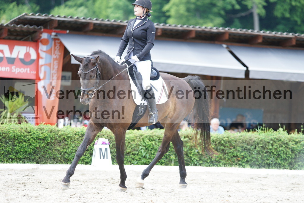 DSC05340 | equestrian-live-com