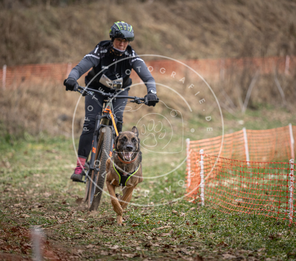 Pfotenfotografie_DV3A6255 | Hundefotografie, Tierfotograf, Pfotenfotografie, Fotoshooting Hund, Hunde Portrait, Hundesport, Hundeportraits, Heideshooting, Hunde, Sportfotograf, Hundefotograf, Turnierhundsport, THS,  - Realisiert mit Pictrs.com