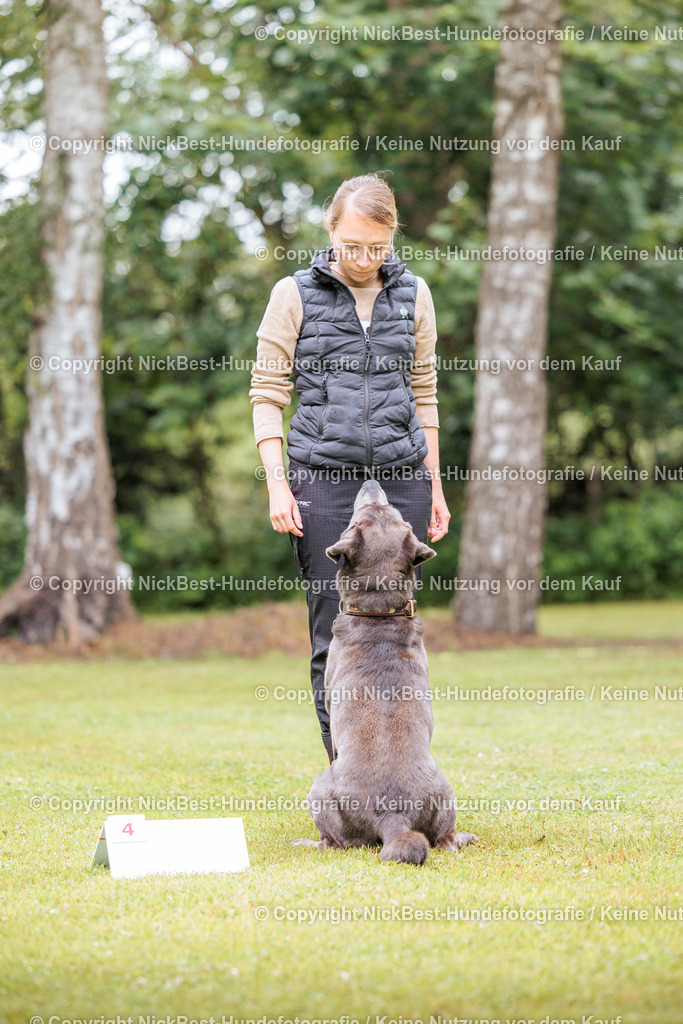 RO-Blumenthal-2026-Nickbest-Hundefotografie-1024 | Dein Hund! Dein Moment! Deine Erinnerungen! Hundefotografie in Bremen Blumenthal. Ich fange die besonderen Momente deines Vierbeiners ein – ob Indoor mit Blitzanlage oder in der freien Natur. Sicher dir dein Moment und dein Termin für eure Erinnerungen.