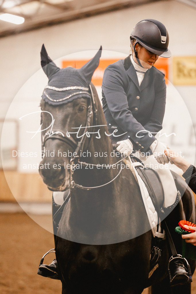 3I6A3306 | Stimmungsvolle Portraits und Reitsportfotografie im Ruhrgebiet und im Münsterland.

Pferdefotografie, Hundefotografie, Tierfotografie, Reportagen, Portraits von Tier und Mensch, Turnierfotografie in Bochum, Recklinghausen, Marl, Haltern am See, Dülmen.. - Realisiert mit Pictrs.com