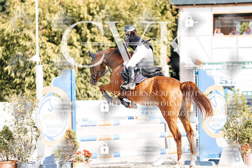 CK909032 | Turnierfotografie Pferdefotografie Trier Rheinland-Pfalz Pferdesport Reitsport Tierfotografie Sportfotografie Pferdevideo Pferdevideografie Equestrianvideography equestrianphotography  - Realisiert mit Pictrs.com