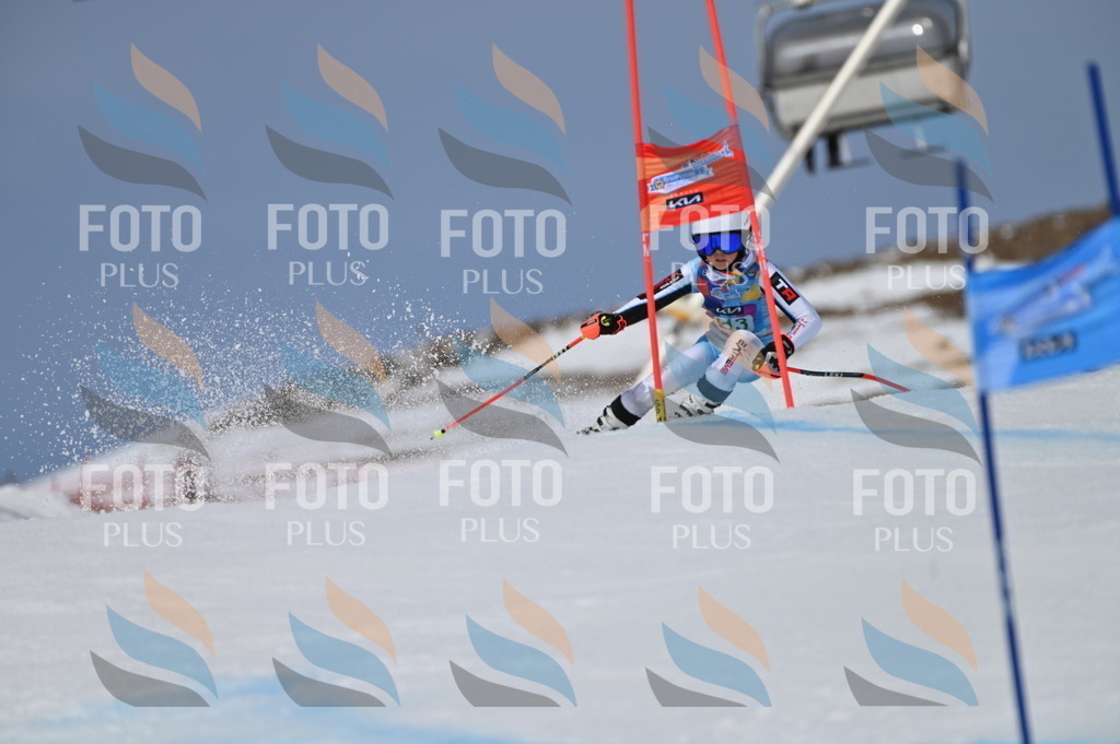 BGV_6188 | holidayphoto