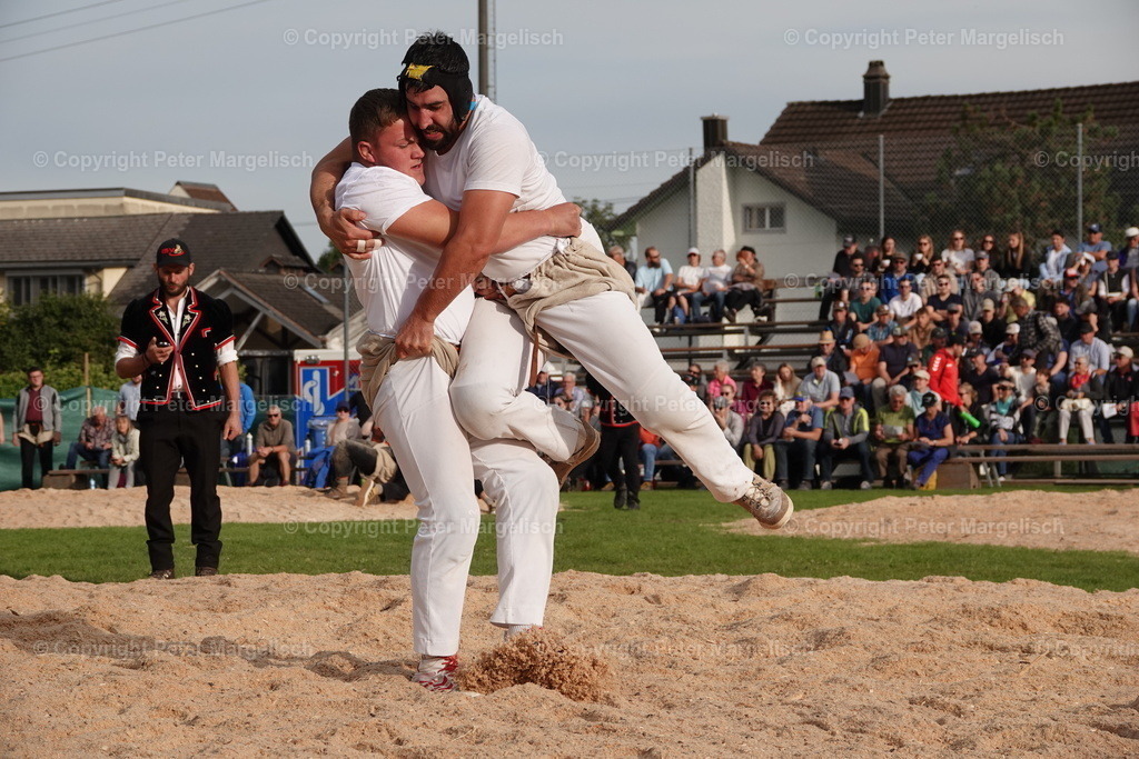 DSC08428 | Schwingen - Realisiert mit Pictrs.com