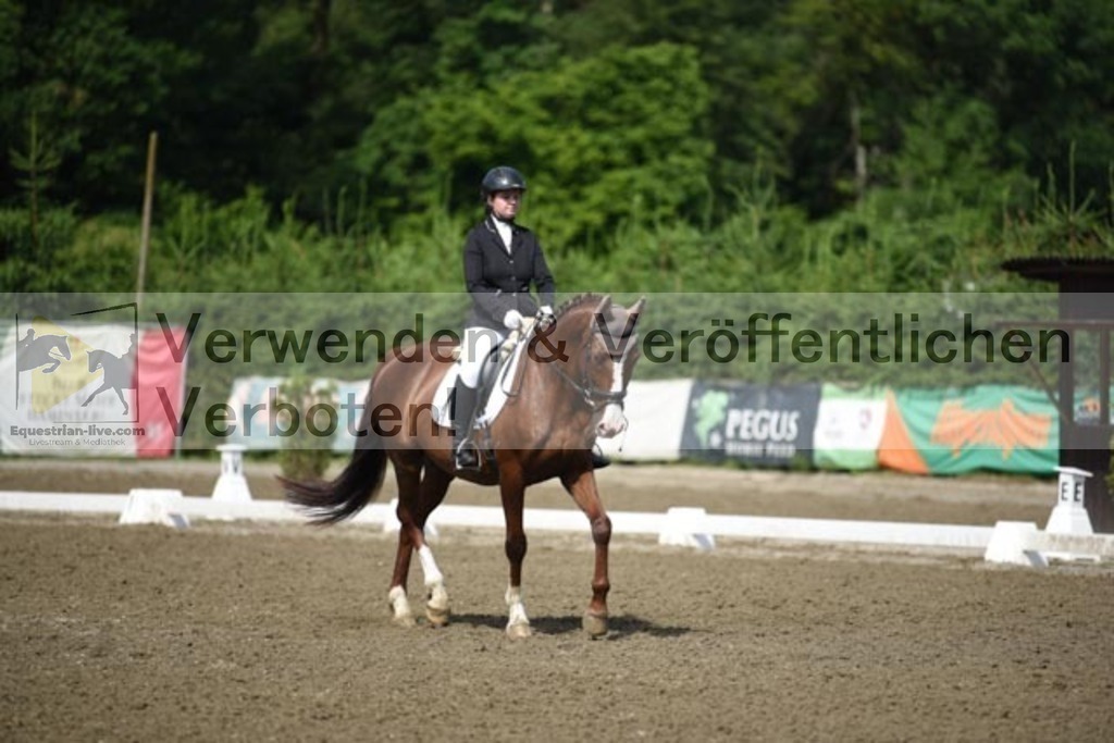 DSC_9678 | equestrian-live-com