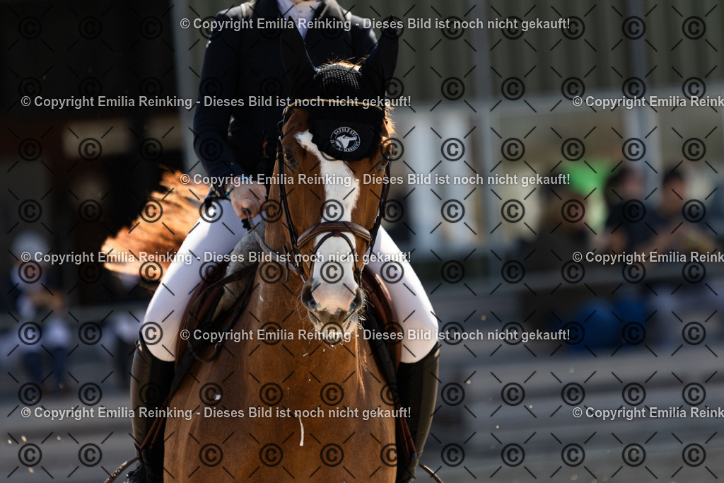 CL5A5790-3 | Emilia Reinking Fotografie - Realisiert mit Pictrs.com