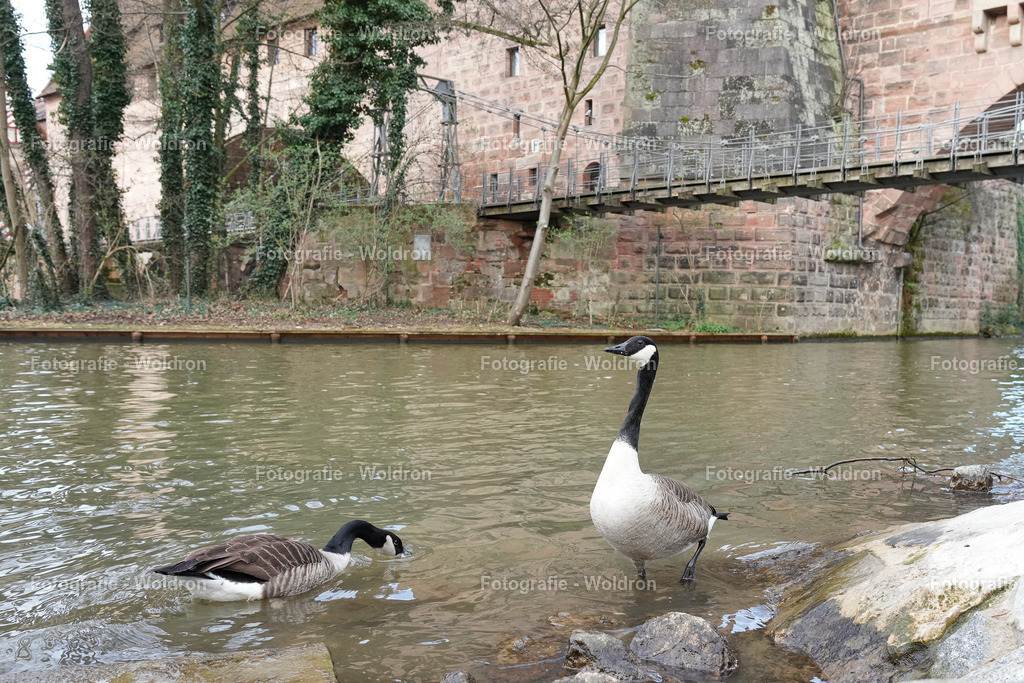 2023028. Nürnberg-26 | Fotografie Woldron