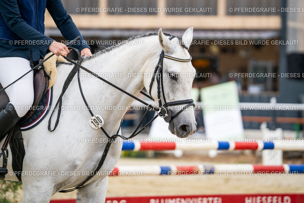 DSC09709 | Pferdegrafie