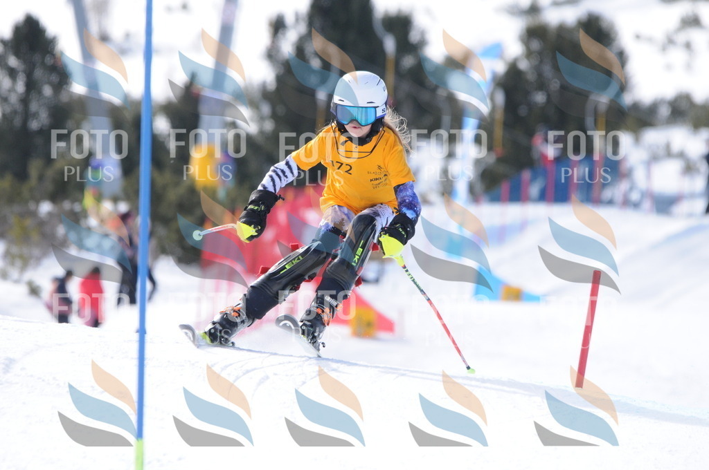 C7387 | holidayphoto