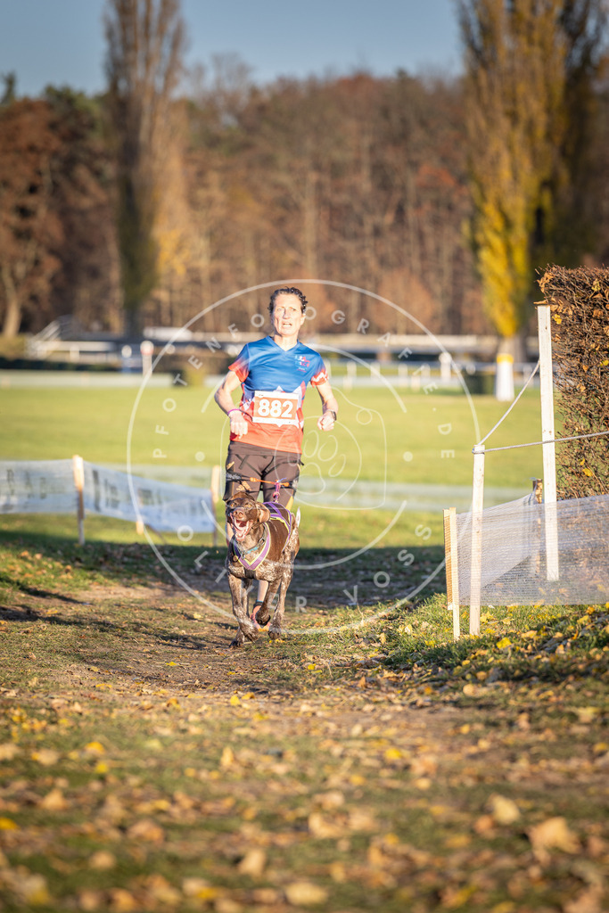 CaniXpix_DV3A4349 | Hundefotografie, Tierfotograf, Pfotenfotografie, Fotoshooting Hund, Hunde Portrait, Hundesport, Hundeportraits, Heideshooting, Hunde, Sportfotograf, Hundefotograf, Turnierhundsport, THS,  - Realisiert mit Pictrs.com