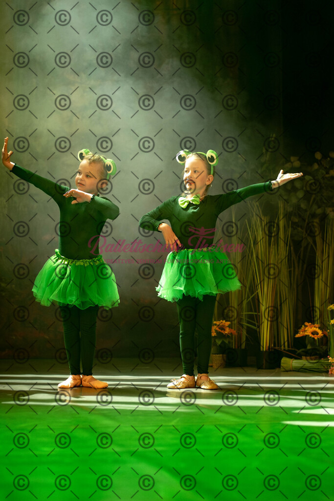 Ballettaufführung-765 | Bildershop Lem'n Entertainment - Realisiert mit Pictrs.com