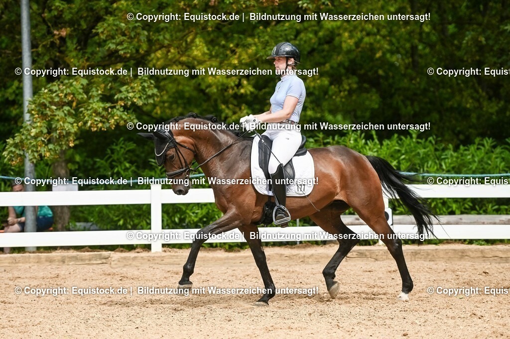 20230715_02_Dressurreiterprüfung Kl.L_0406 | equistock