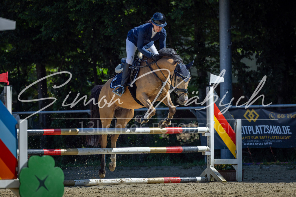 20260704-_3LI7465 | Tierfotografie Pferde, Hunde, Katzen, Haustiere.
Turnierfotografie Reitturniere, Reiten, Springreiten, Dressur in Hanau, dem Main-Kinzig-Kreis und dem Rhein-Main- Gebiet um Frankfurt