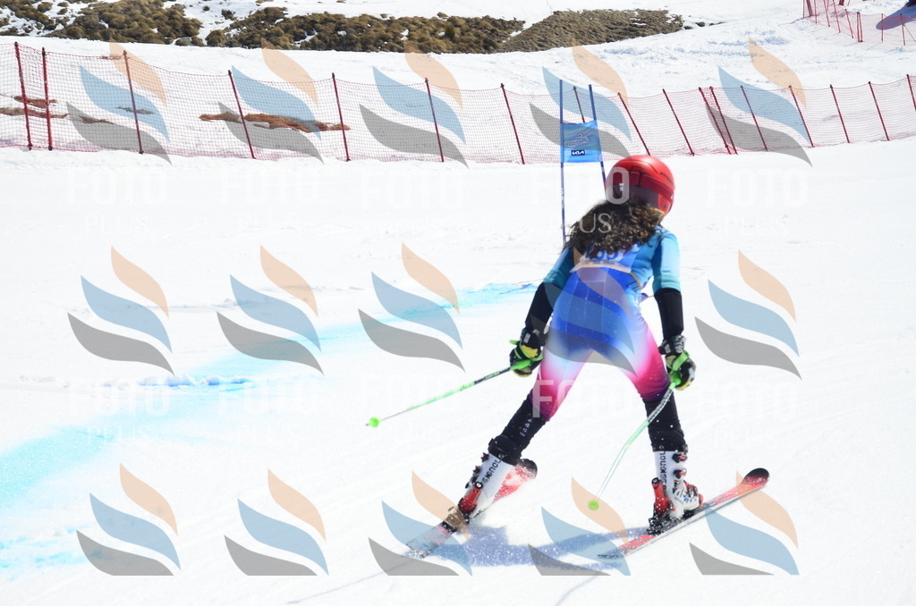 _ELE0868 | holidayphoto