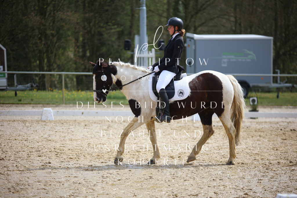 IMGT4168 | pl-fotografie