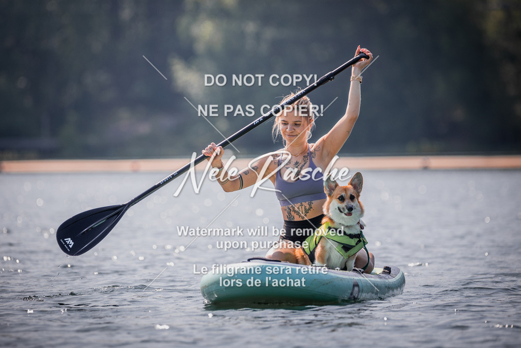 BUHU_SUP_466 | nelerasche