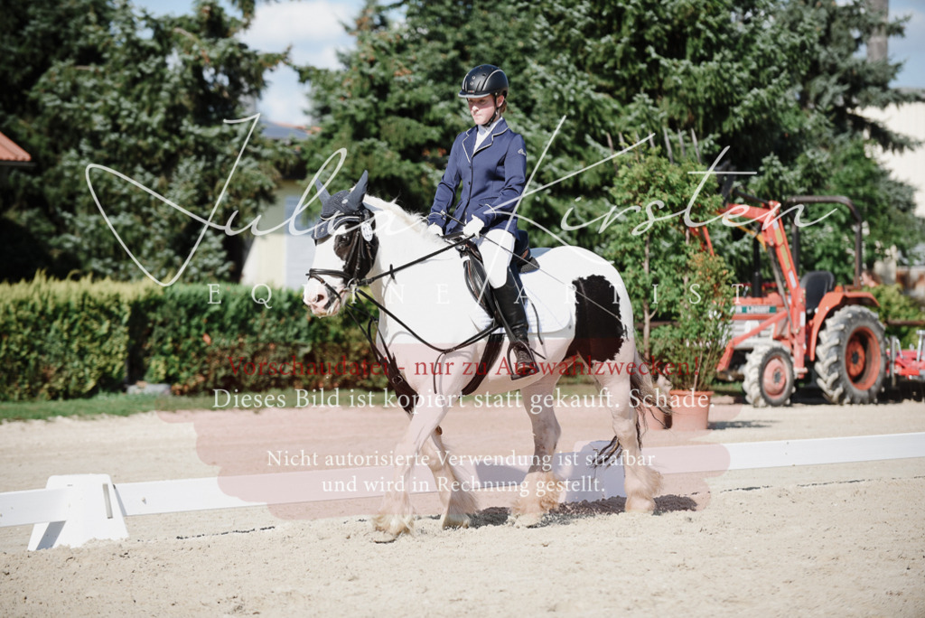 DSC_0103 | Pferde- und Turnierfotografie in Westsachsen. Pferdeportraits, Auftragszeichnungen und intuitive Kunst.