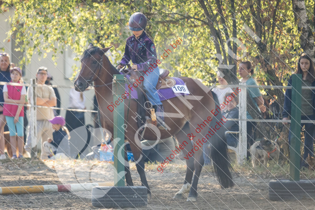 IMG_6435 | Sport-, Event- und Tierfotos in Profiqualität. Einfach auswählen, bestellen und herunterladen. Dein Moment – perfekt festgehalten.