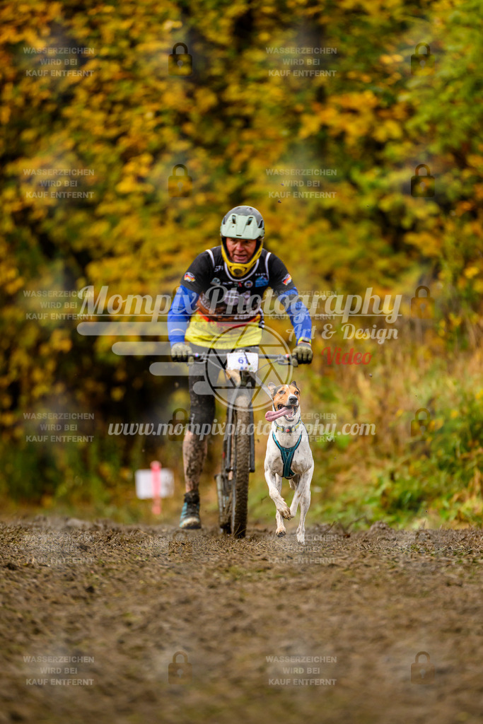 MompixPhotography_ICF_WC_2024_SA_DS_-141 | PayLife