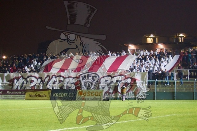 BFC Dynamo vs. Hallescher FC 025 | mythos-online-redaktion