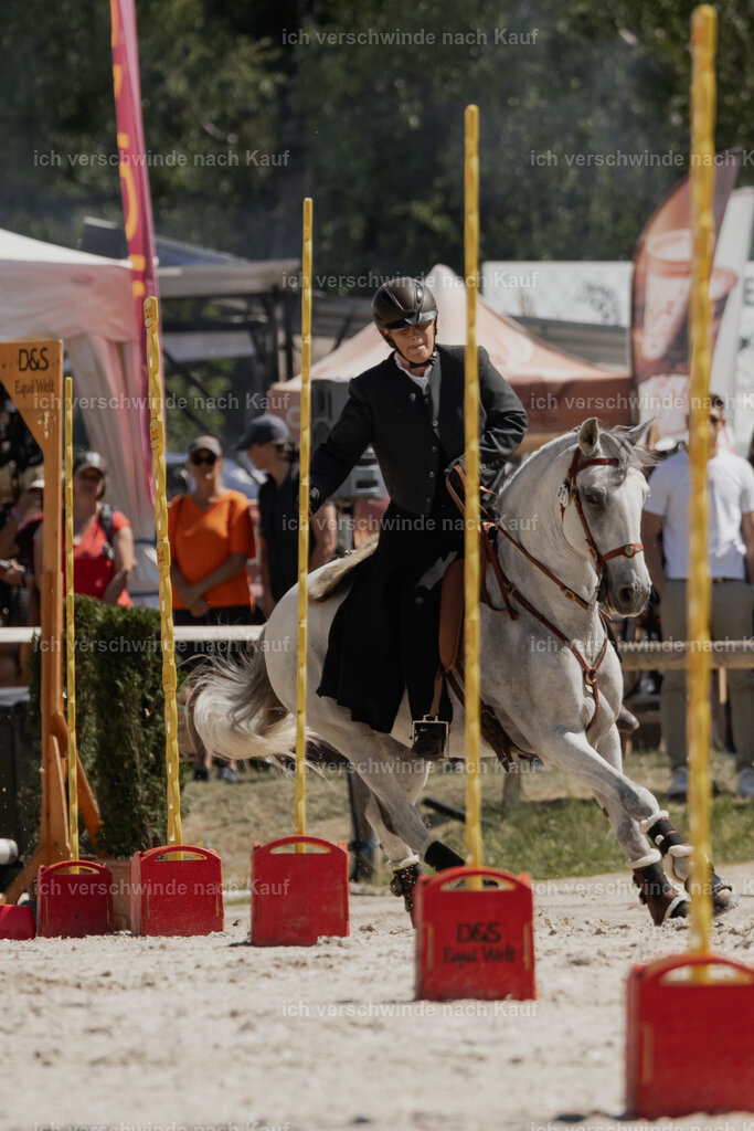 WE_SP_Stoib_321_PI2025_1576 | Pferd International München 2025