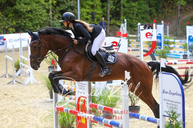 DKP40561 | Turniersportfotografie; Pferdefotografie; Dressurfotografie