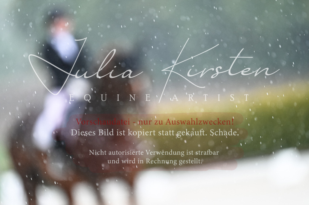 DSC_4119 | Pferde- und Turnierfotografie in Westsachsen. Pferdeportraits, Auftragszeichnungen und intuitive Kunst.