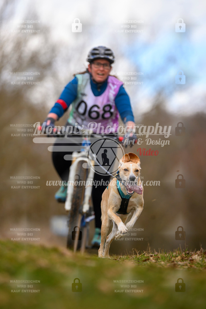 MompixPhotography_10Schwabentrail2026_SO_Bike-74 | PayLife