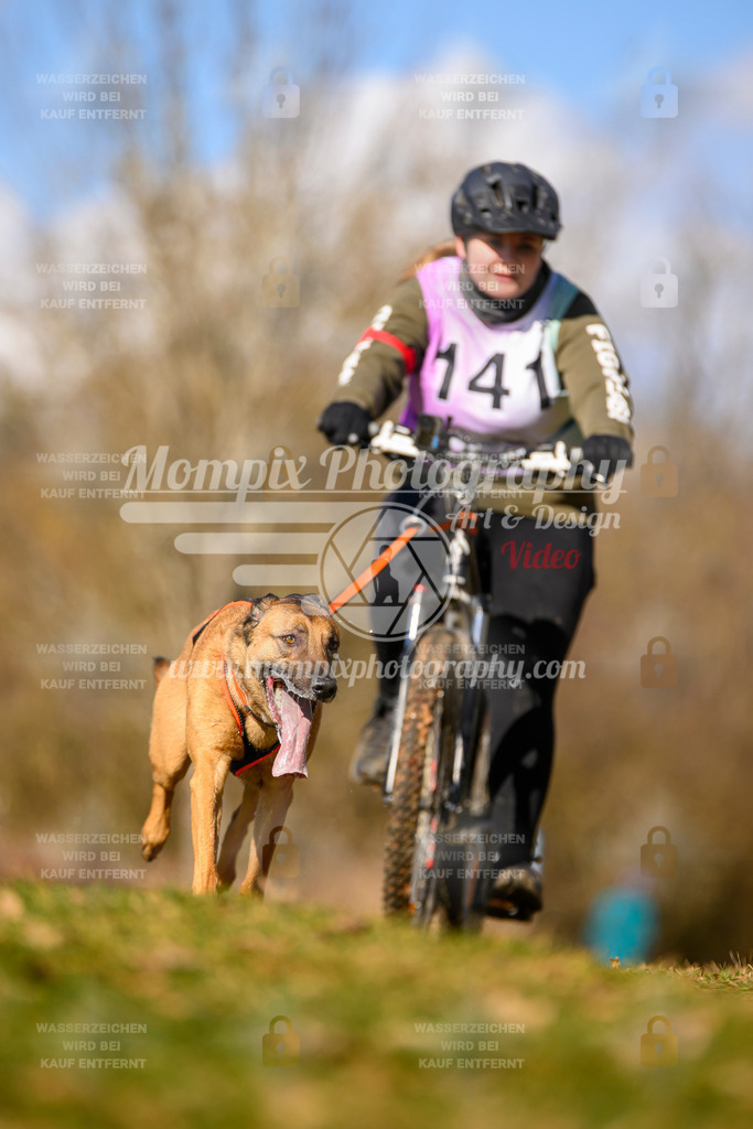 MompixPhotography_10Schwabentrail2026_SO_Bike-119 | PayLife