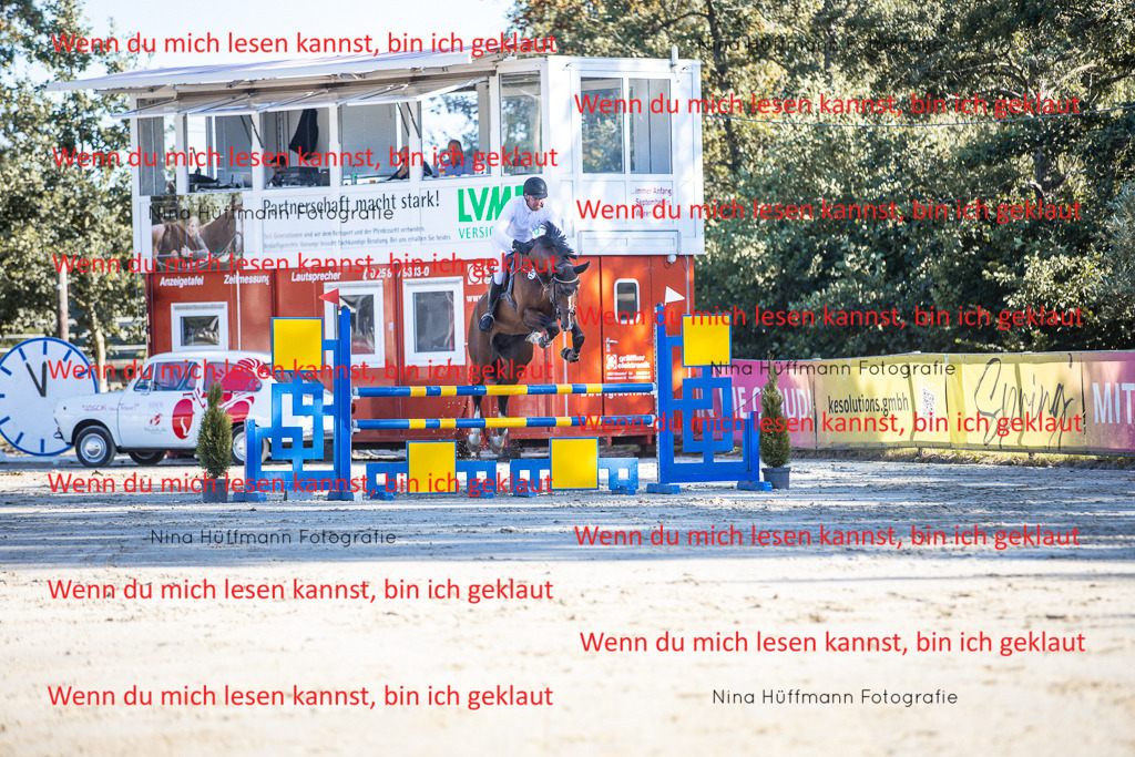 BK1A6025 | Turnierbilder Turnierfotos Nina Hüffmann Turnierfotografie Pferdefotografie Tierzeichnung Haustierzeichnung Pferdezeichnung Hundezeichnung Videograf  - Realisiert mit Pictrs.com