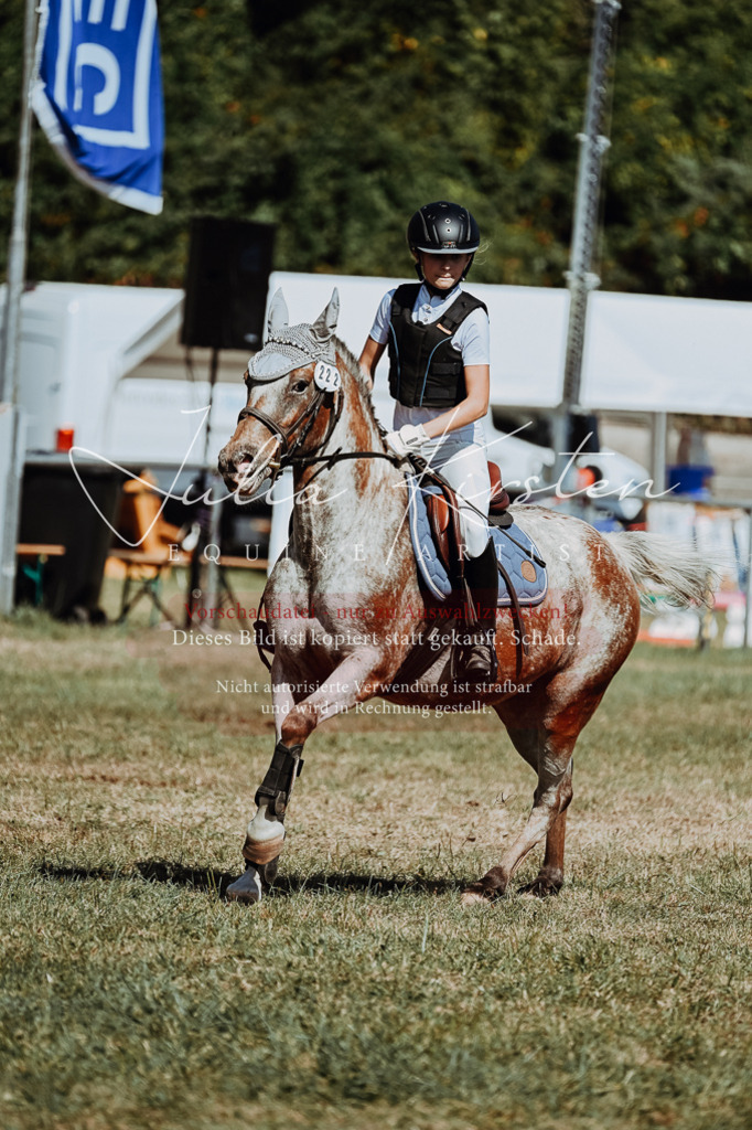 DSC_9748 | Pferde- und Turnierfotografie in Westsachsen. Pferdeportraits, Auftragszeichnungen und intuitive Kunst.