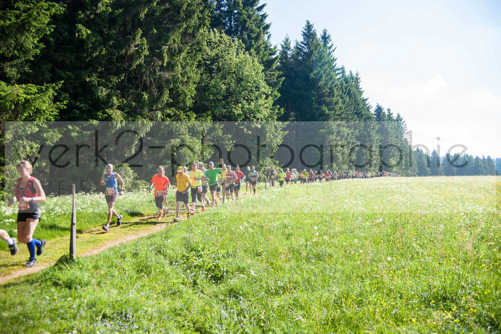 Rennsteiglauf 2018 | Neuhaus/Rwg. - Schmiedefeld am 26. Mai 2018