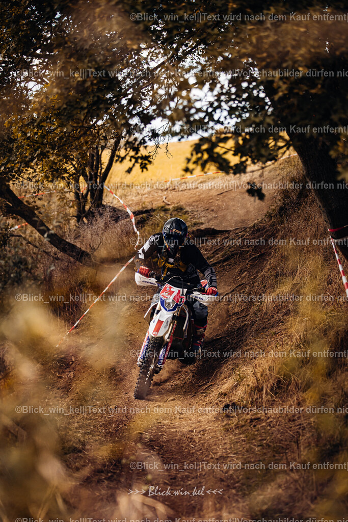 E68A2978 | blick_win_kel