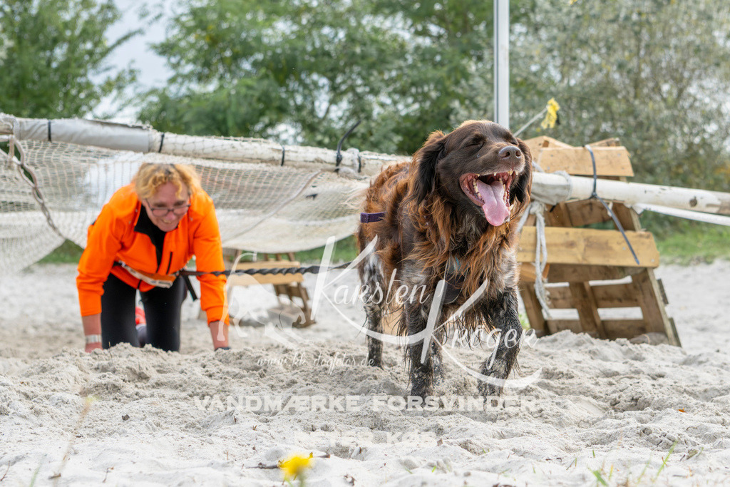 1504_ZZ92873 | kk-dogfotos