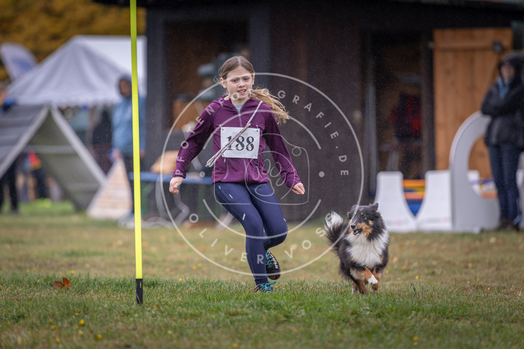 Pfotenfotografie_DV3A9840 | Hundefotografie, Tierfotograf, Pfotenfotografie, Fotoshooting Hund, Hunde Portrait, Hundesport, Hundeportraits, Heideshooting, Hunde, Sportfotograf, Hundefotograf, Turnierhundsport, THS,  - Realisiert mit Pictrs.com
