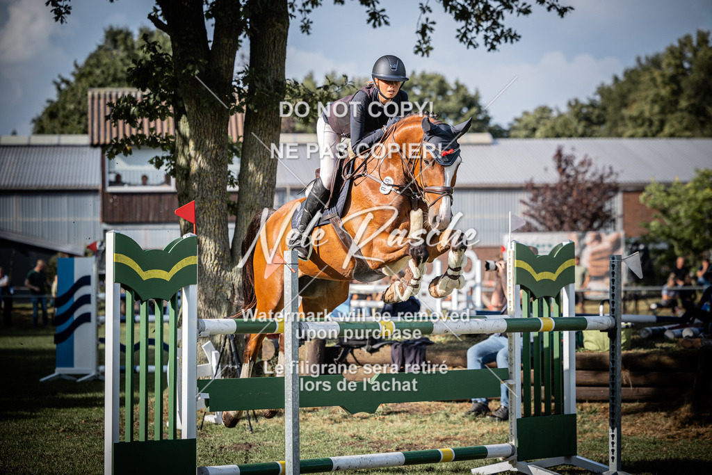 nelerasche_SprM_120Ede_82 | nelerasche