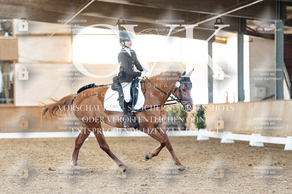 CK907897 | Turnierfotografie Pferdefotografie Trier Rheinland-Pfalz Pferdesport Reitsport Tierfotografie Sportfotografie Pferdevideo Pferdevideografie Equestrianvideography equestrianphotography  - Realisiert mit Pictrs.com