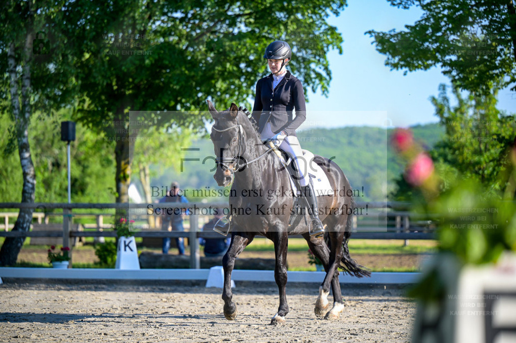 Reitturnier Lienen | Entdecke hochwertige Reitturnierfotos von Foto Oger. Professionell, emotional und authentisch – jetzt Lieblingsmomente im Shop bestellen. - Realisiert mit Pictrs.com