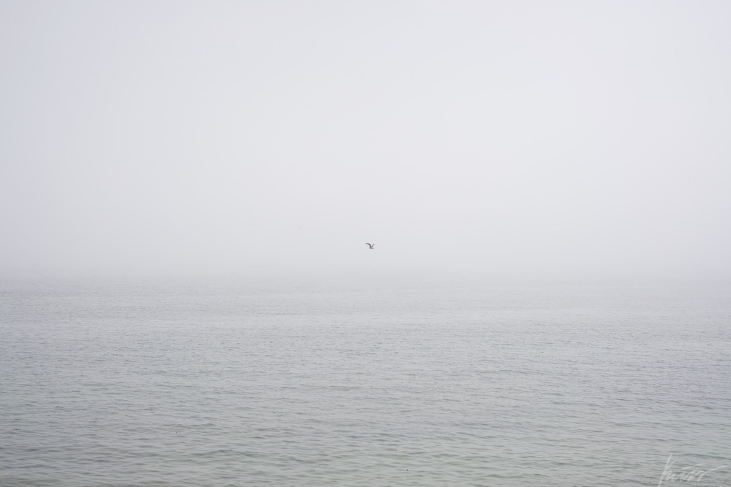 lonlyBird | In meinem Onlineshop biete ich nur sehr kritisch ausgewählte Fotografien an. Diese sind von meinen Reisen oder Kurztrips. Ich habe sie ausgewählt, da diese meiner Meinung Nach wunderbare Wandbilder darstellen.  - Realisiert mit Pictrs.com