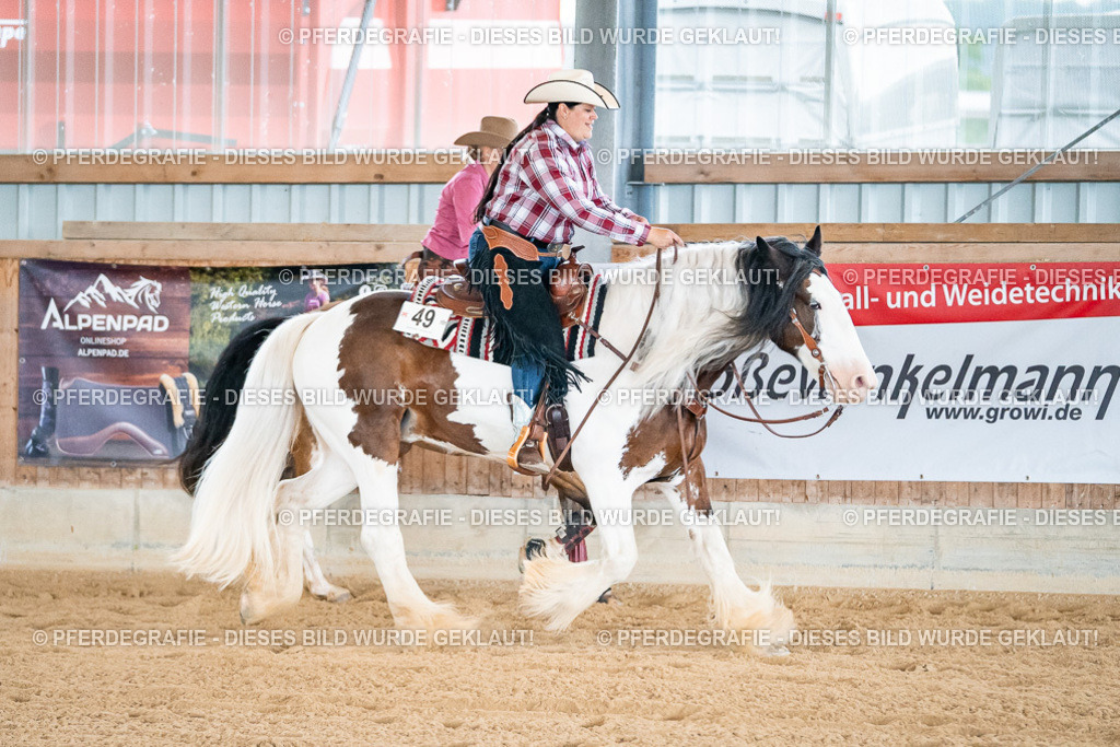 DSC00237 | Pferdegrafie