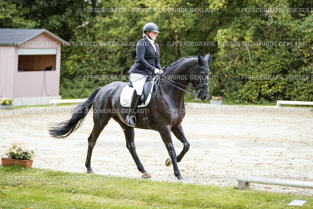 DSC09434 | Pferdegrafie