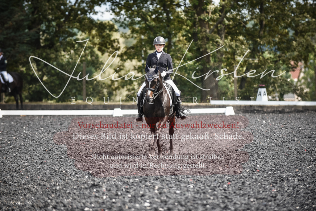 DSC_5097 | Pferde- und Turnierfotografie in Westsachsen. Pferdeportraits, Auftragszeichnungen und intuitive Kunst.