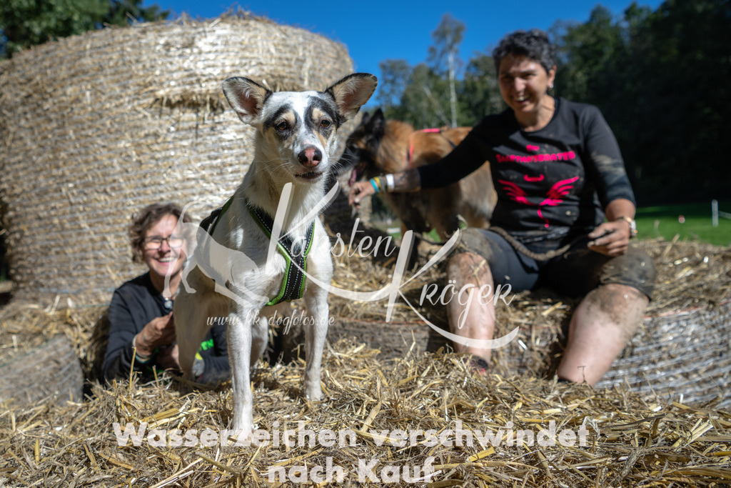 1233_ZZ91568-2 | kk-dogfotos