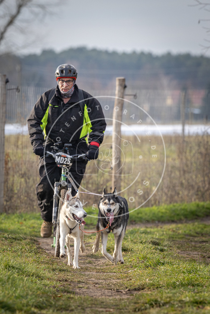 Pfotenfotografie_DV3A6887 | Hundefotografie, Tierfotograf, Pfotenfotografie, Fotoshooting Hund, Hunde Portrait, Hundesport, Hundeportraits, Heideshooting, Hunde, Sportfotograf, Hundefotograf, Turnierhundsport, THS,  - Realisiert mit Pictrs.com