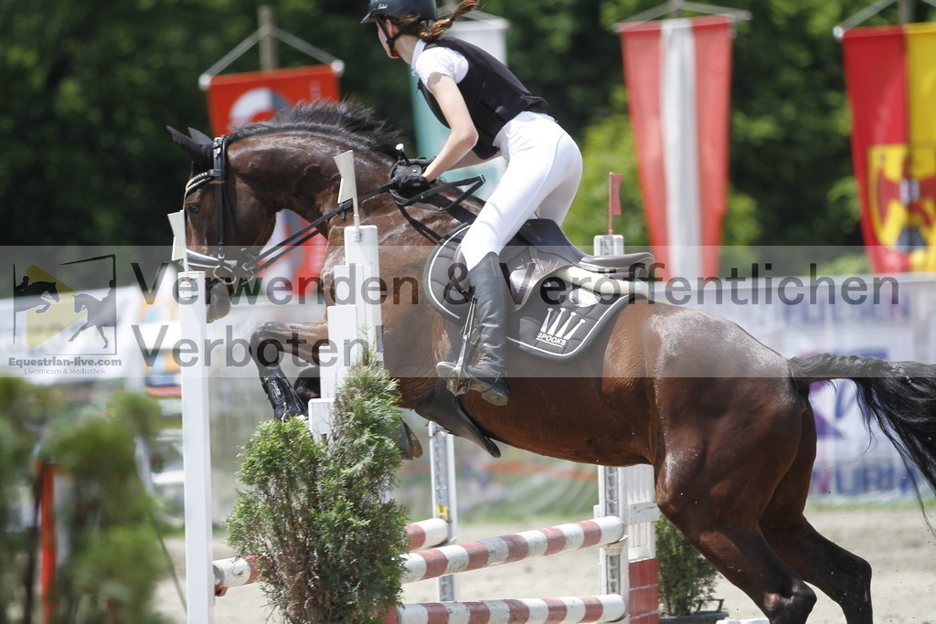 _MG_5414 | equestrian-live-com