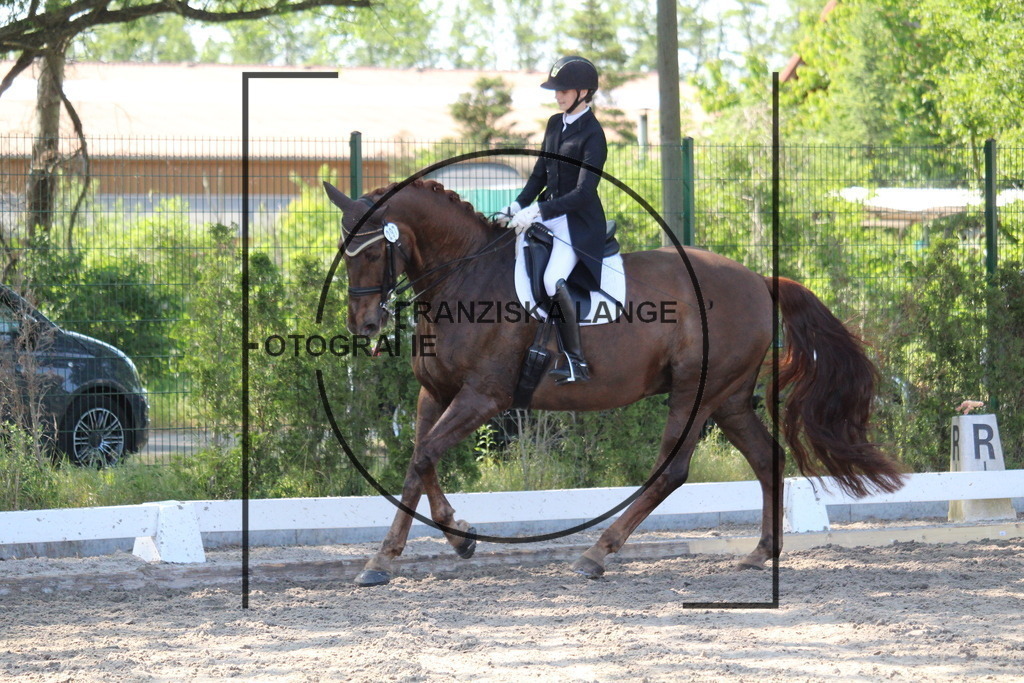 IMG_5492 | franziskalange - Realisiert mit Pictrs.com