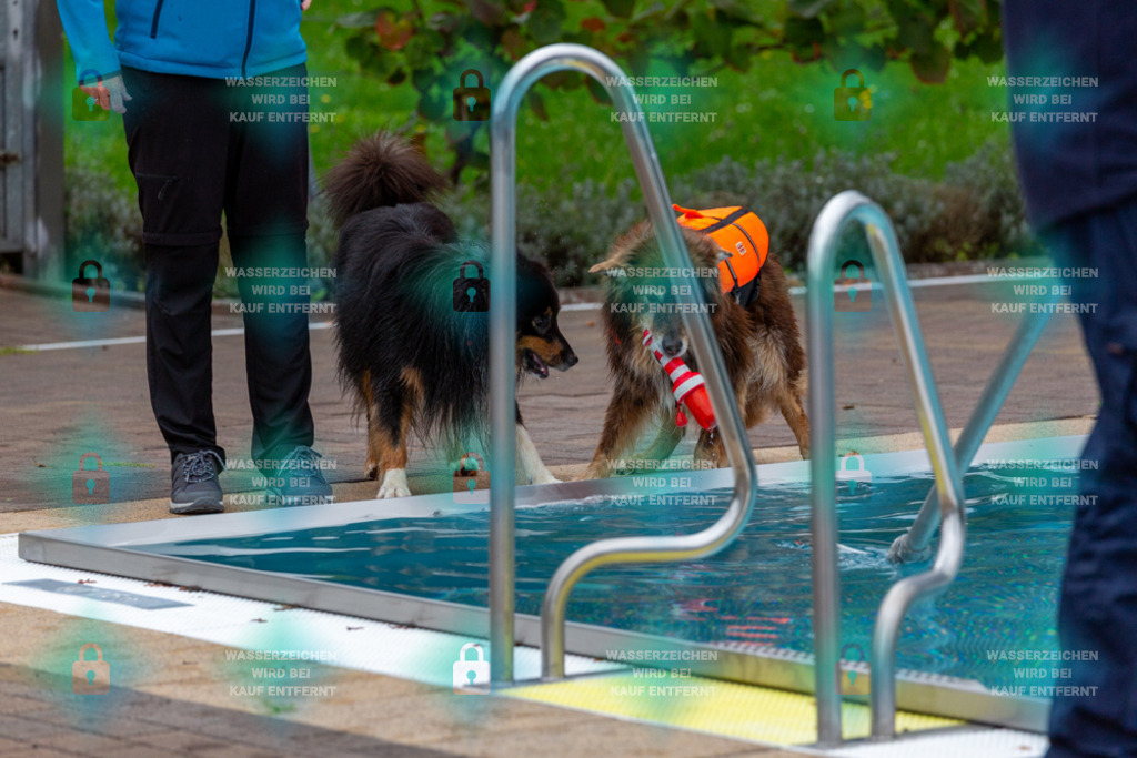 _HP_6072_1000o | HetPix, HetPix Fotodesign, Fotografie, Fotodesign, Webshop, Sportfotografie, Portraitfotografie, Onlineshop, Sportfotografie, Polch, Motorsportfotografie, Eventfotografie