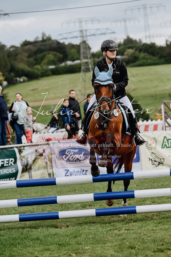 DSC_6823 | Pferde- und Turnierfotografie in Westsachsen. Pferdeportraits, Auftragszeichnungen und intuitive Kunst.
