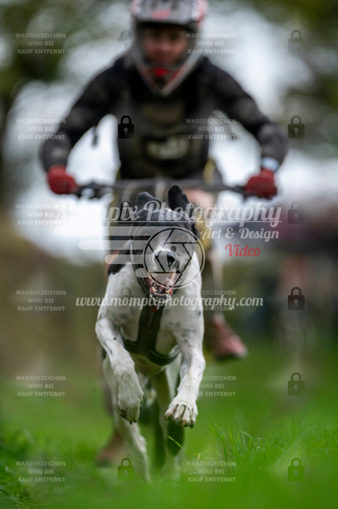 TSB_2023_E8_Bike-37 | PayLife